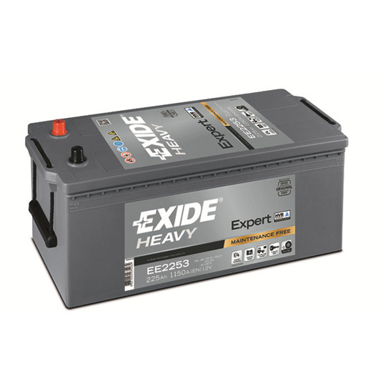 EE2253 - Starter Battery 
