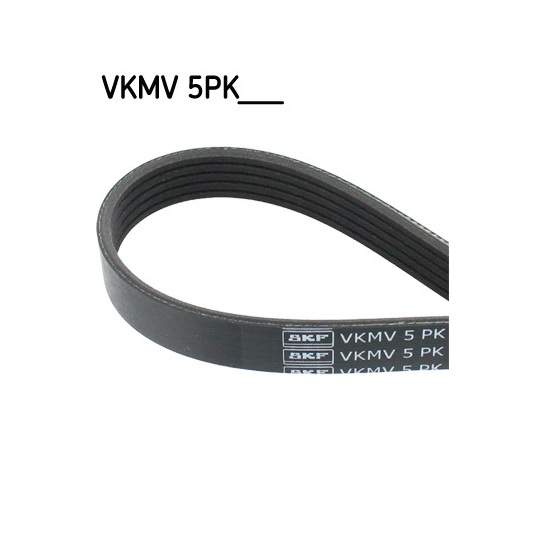 VKMV 5PK887 - V-Ribbed Belt 