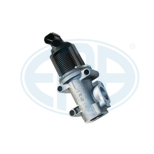 555035 - EGR Valve 