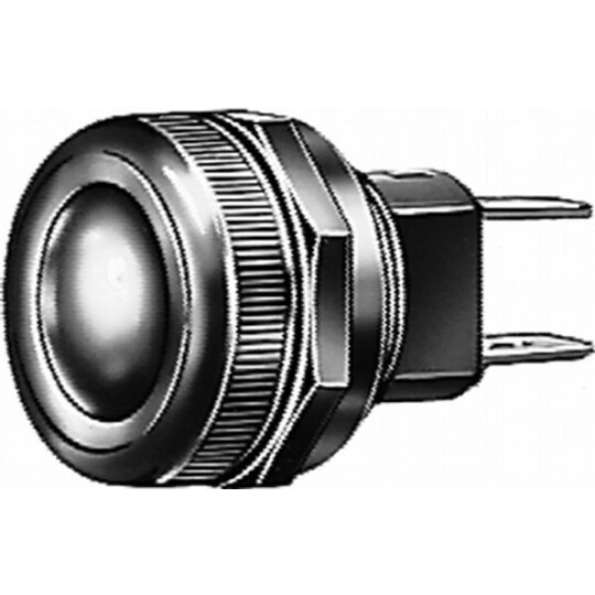 2AA 001 200-131 - Control Lamp 