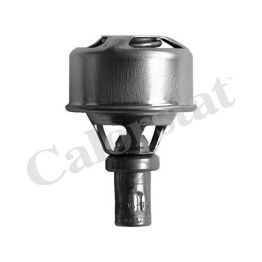 TH4495.86 - Thermostat, coolant 