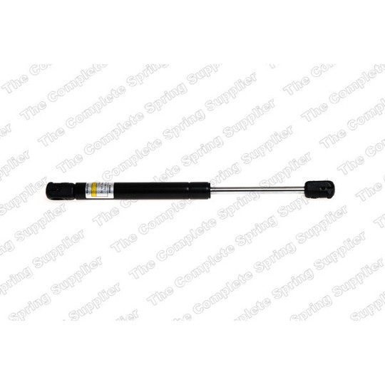 8162039 - Gas Spring, bonnet 