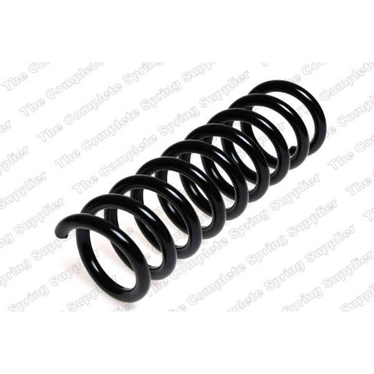 4256820 - Coil Spring 