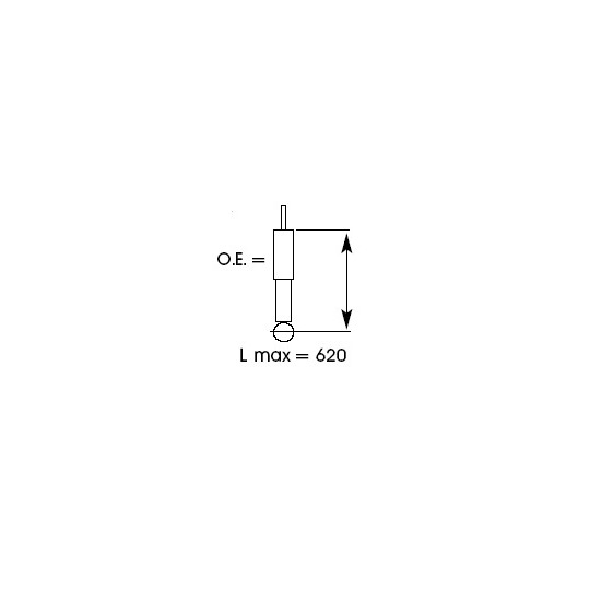 243033 - Shock Absorber 