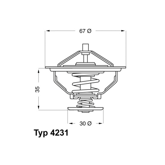 4231.84D - Thermostat, coolant 