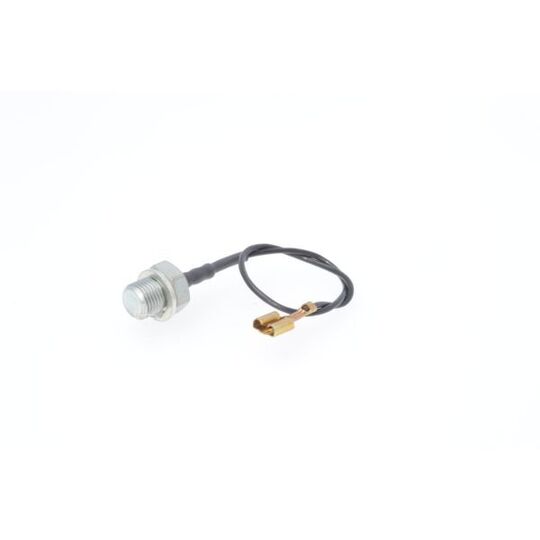 0 280 130 012 - Sensor, cylinder head temperature 