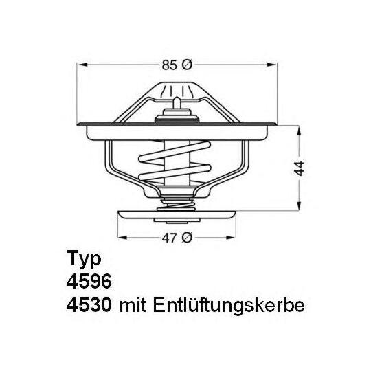 4596.83 - Thermostat, coolant 