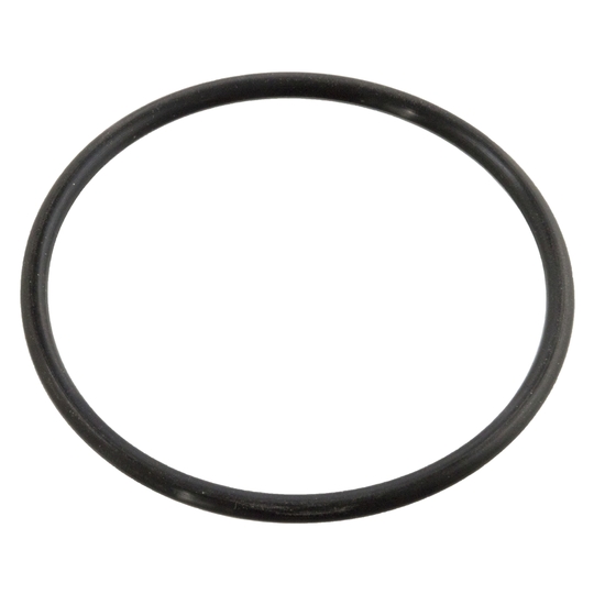 10258 - Gasket, thermostat 