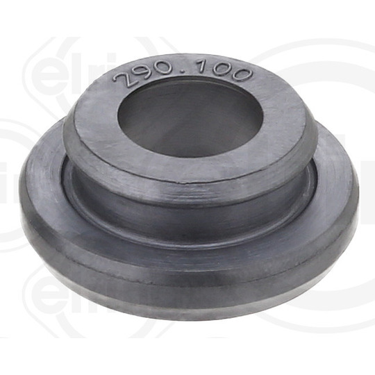 290.100 - Seal Ring, cylinder head cover bolt 
