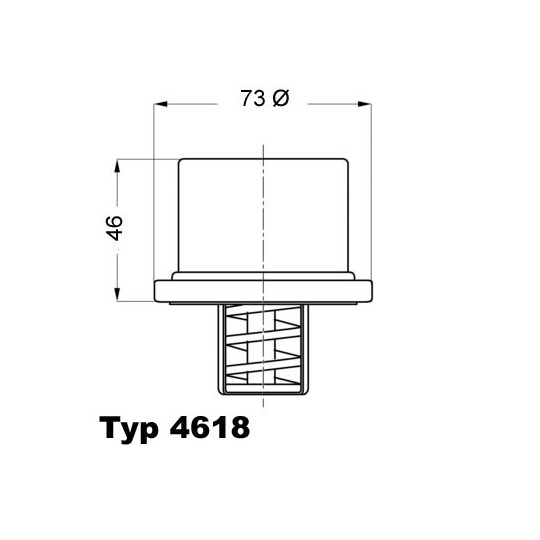 4618.75 - Thermostat, coolant 