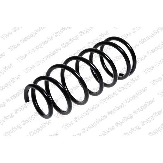 4244206 - Coil Spring 