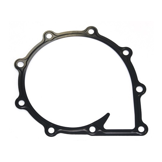 021.250 - Gasket, water pump 