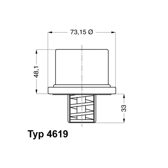 4619.80 - Thermostat, coolant 