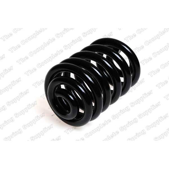 4256839 - Coil Spring 