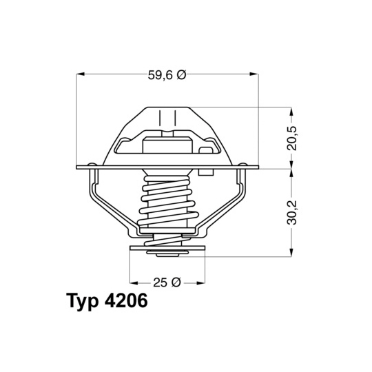 4206.90D - Thermostat, coolant 