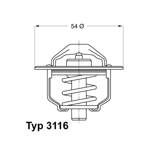 3116.89D - Thermostat, coolant 