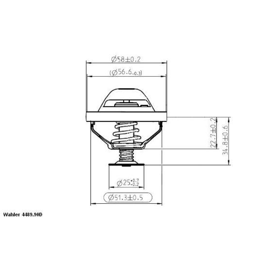 4489.90D - Thermostat, coolant 