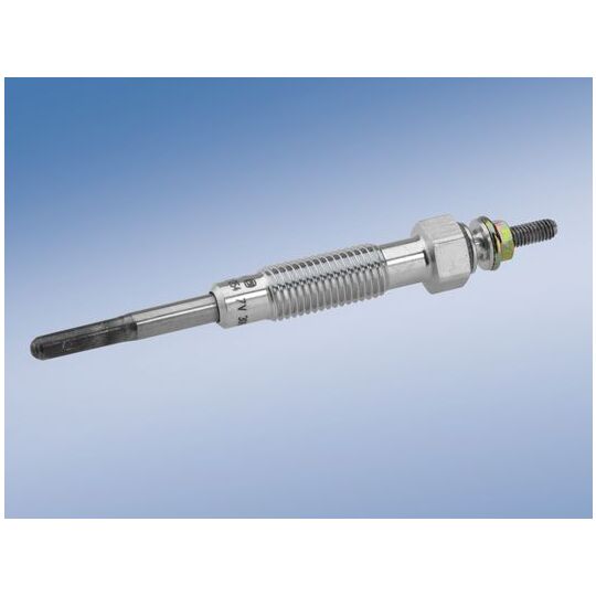 0 250 202 054 - Glow Plug 