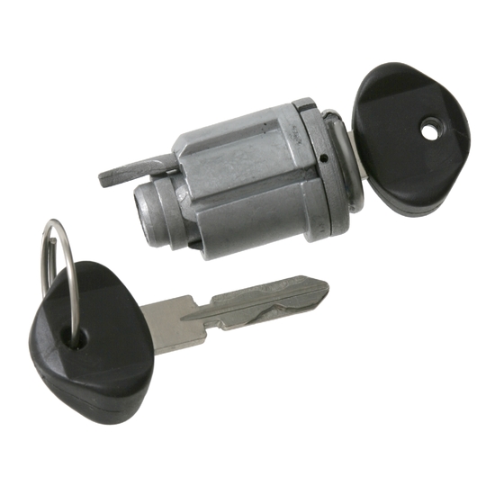 17690 - Lock Cylinder, ignition lock 