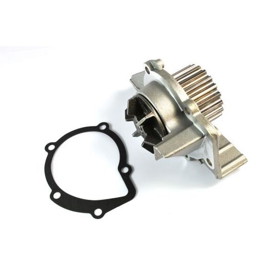 D1F061TT - Water pump 