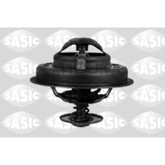 3381181 - Thermostat, coolant 