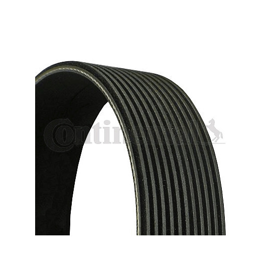 11PK2055 - V-Ribbed Belt 