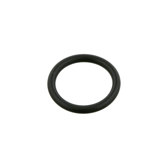 05334 - Seal Ring 