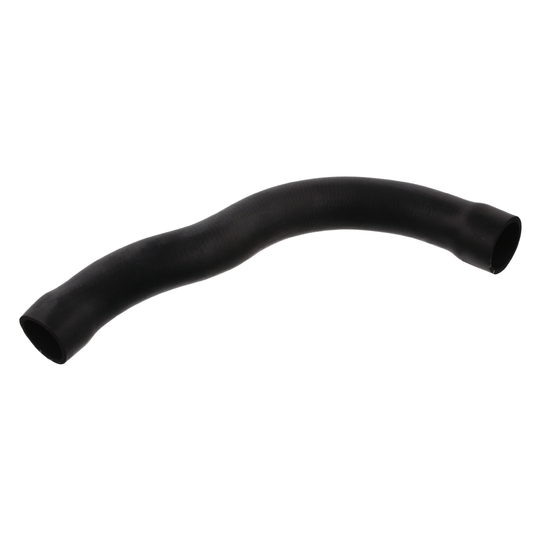 33875 - Radiator Hose 