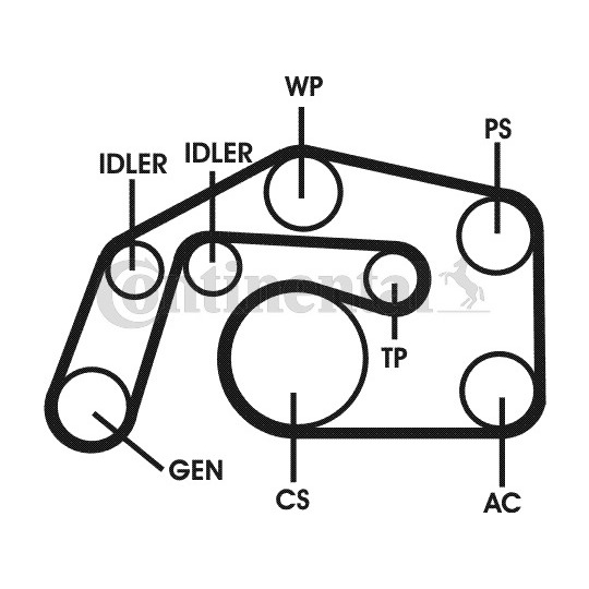 6PK2460D1 - V-Ribbed Belt Set 