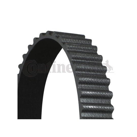 CT1136 - Timing Belt 