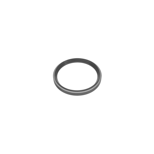 09898 - Shaft Seal, wheel bearing 