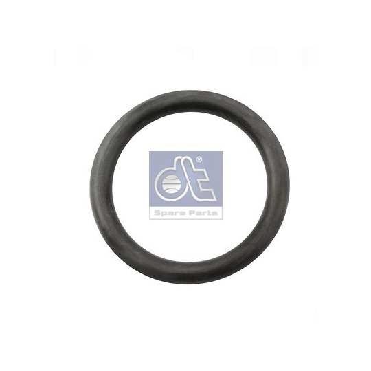 4.20300 - Seal Ring, brake shoe 