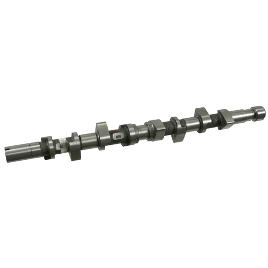 21987 - Camshaft 