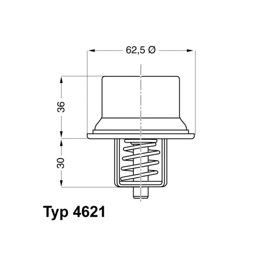 4621.80D - Thermostat, coolant 