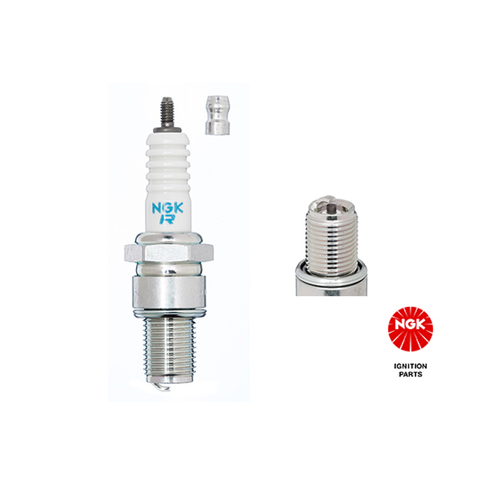 3972 - Spark Plug 