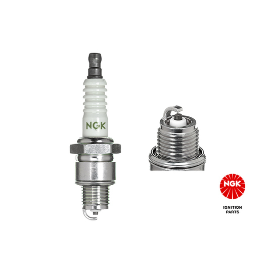 4838 - Spark Plug 