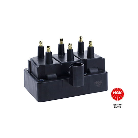 48220 - Ignition coil 