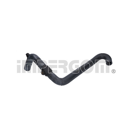 223189 - Radiator Hose 