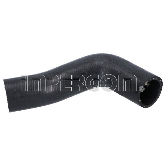 21831 - Radiator Hose 