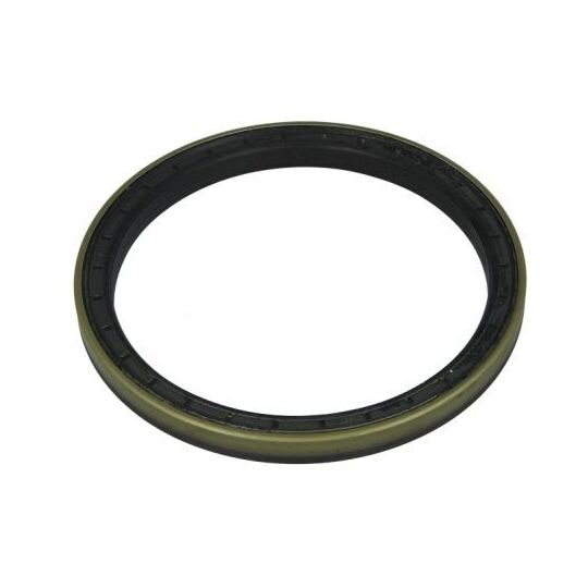 B06-2039 - Shaft Seal, wheel bearing 