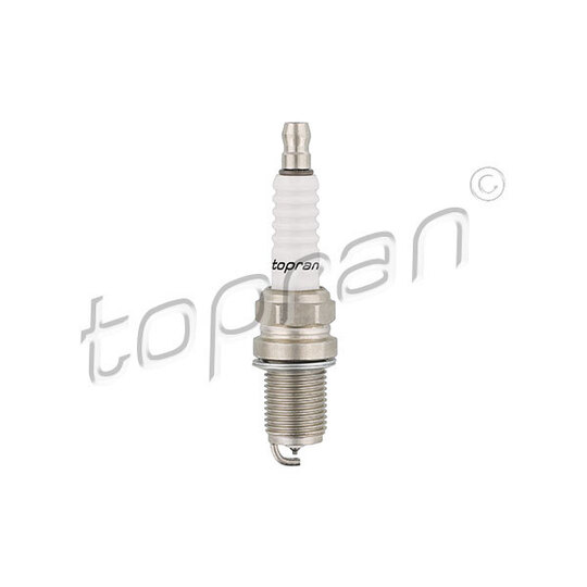 109 950 - Spark Plug 