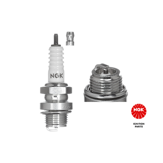 2910 - Spark Plug 