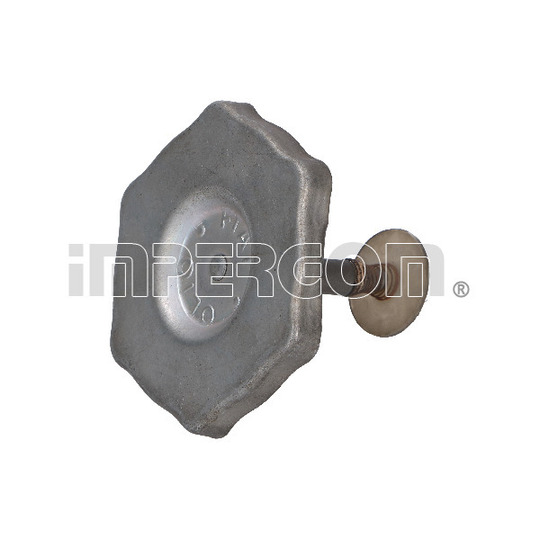 29627 - Sealing Cap, oil filling port 