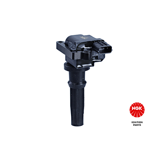 48134 - Ignition coil 
