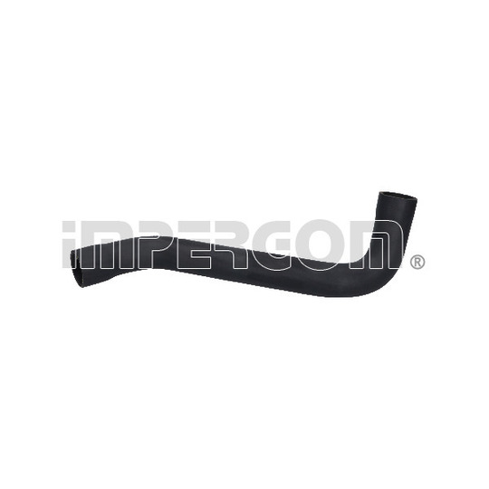 222558 - Radiator Hose 