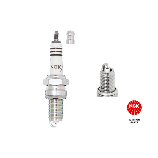 5545 - Spark Plug 