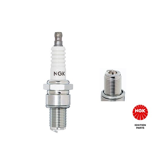 3949 - Spark Plug 