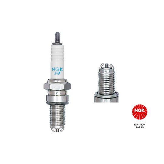 6193 - Spark Plug 