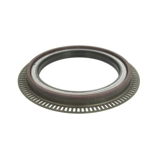 B06-2018 - Shaft Seal, wheel bearing 