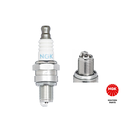 1656 - Spark Plug 